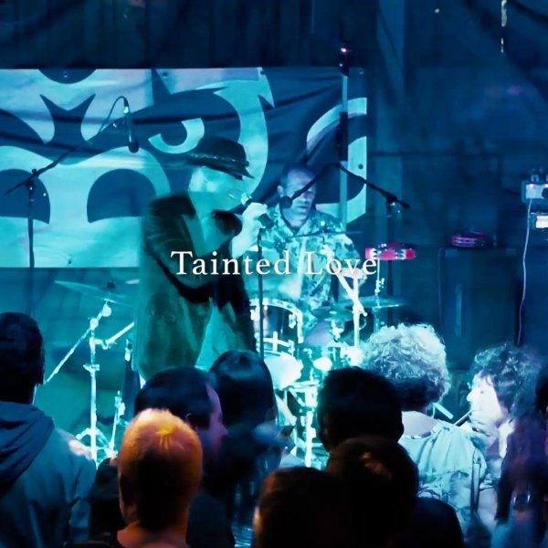 The Morzim - Tainted Love